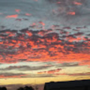 Meet your Posher, Lea